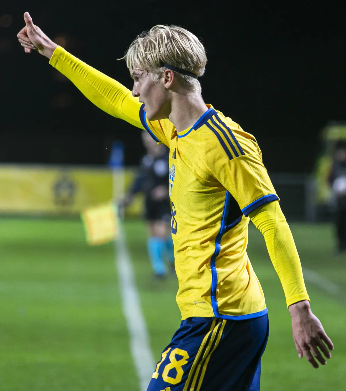 Tottenham blow: Lucas Bergvall tells club he wants to leave this summer