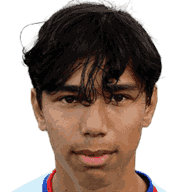 Damian van Dijk