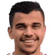 Mohamed Nehari