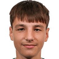 Nermin Mesic