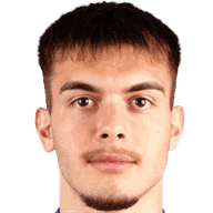 Mihajlo Petkovic