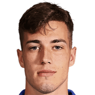 Luka Sucic