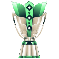 AFC Asian Cup