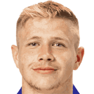 Dominik Veselovsky