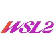 WSL 2