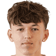 Tarik Brkic
