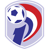 Division Profesional
