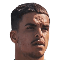 Carlos Sanchez