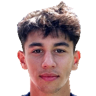 Ege Araç
