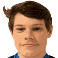 Sander Wik