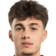 Nikola Mituljikic