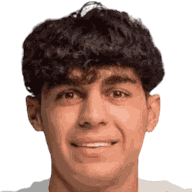 Taha Mohebipour