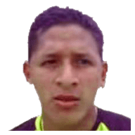 Luis Garcés