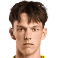 Rodion Medvedev