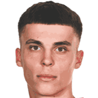 Almin Mesanovic