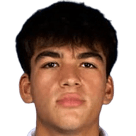 Nicolás Vargas